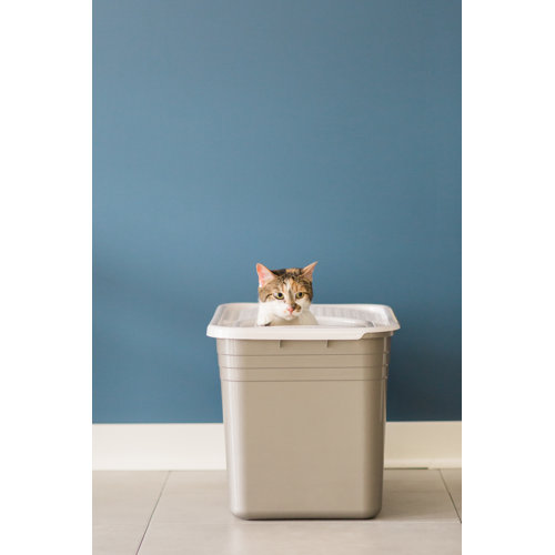 Petmate Top Entry Litter Pan & Reviews Wayfair